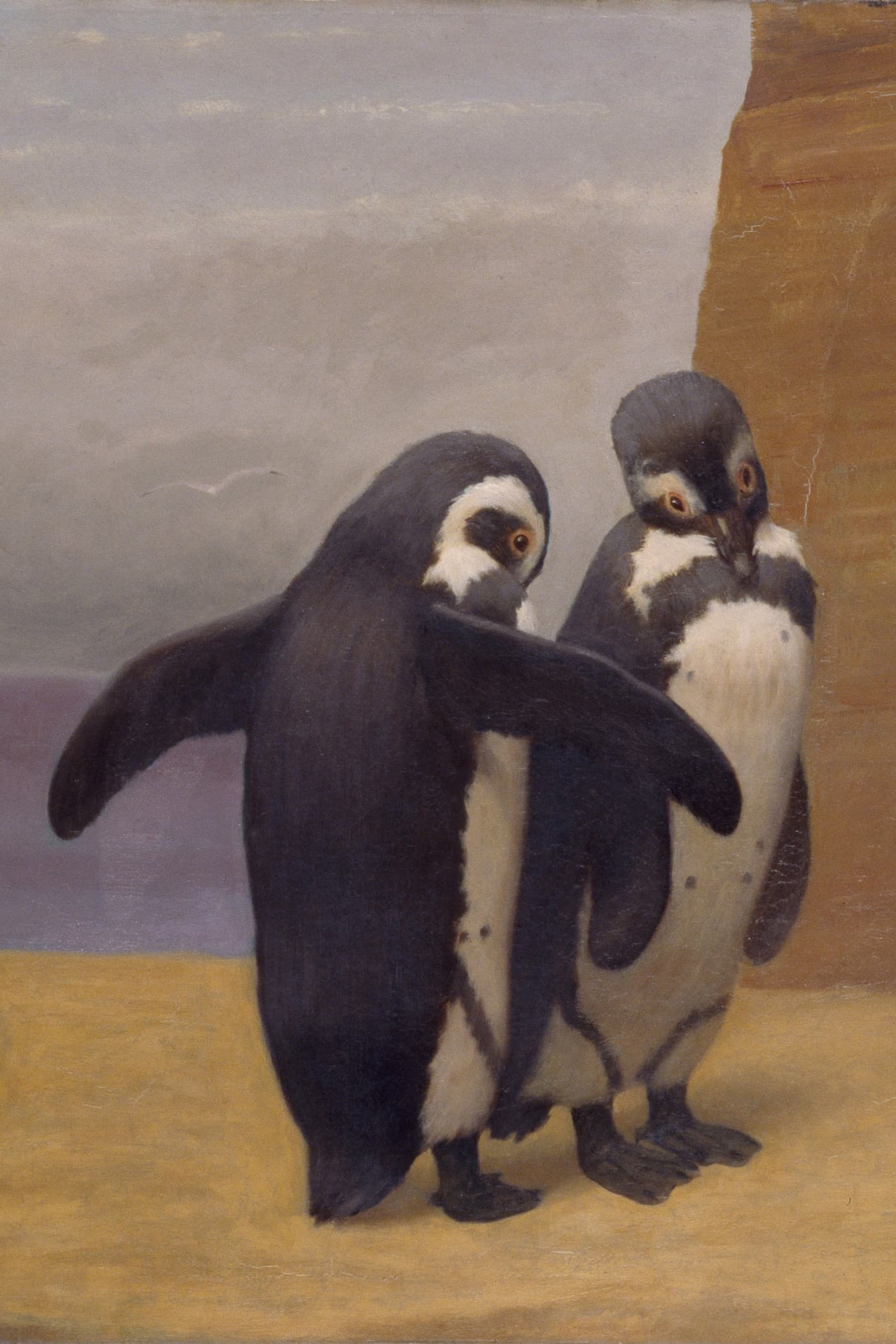 Cover for Penguin Island