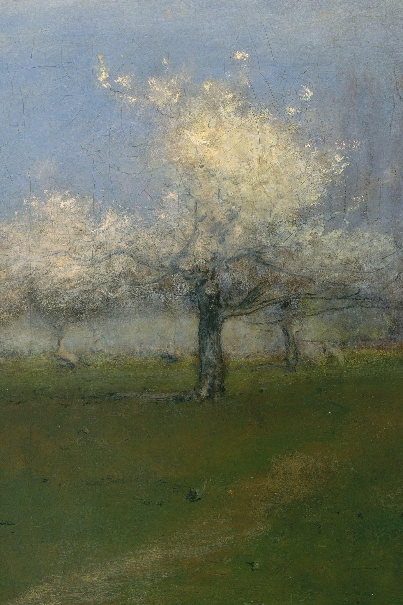 Cover for The Cherry Orchard
