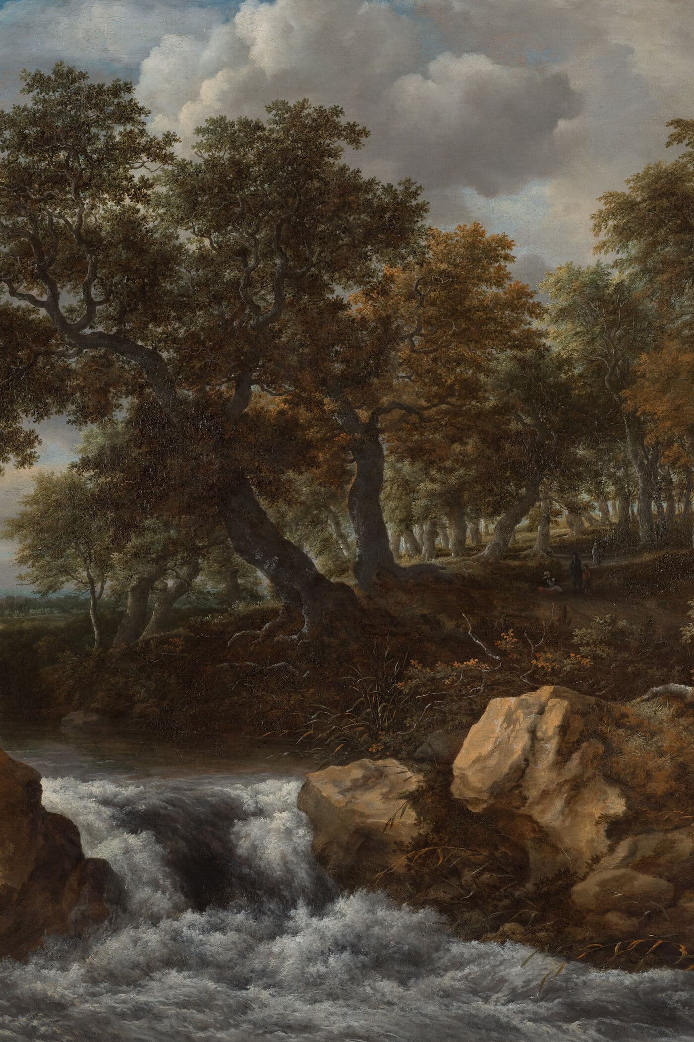 Cover for The House Without Windows
