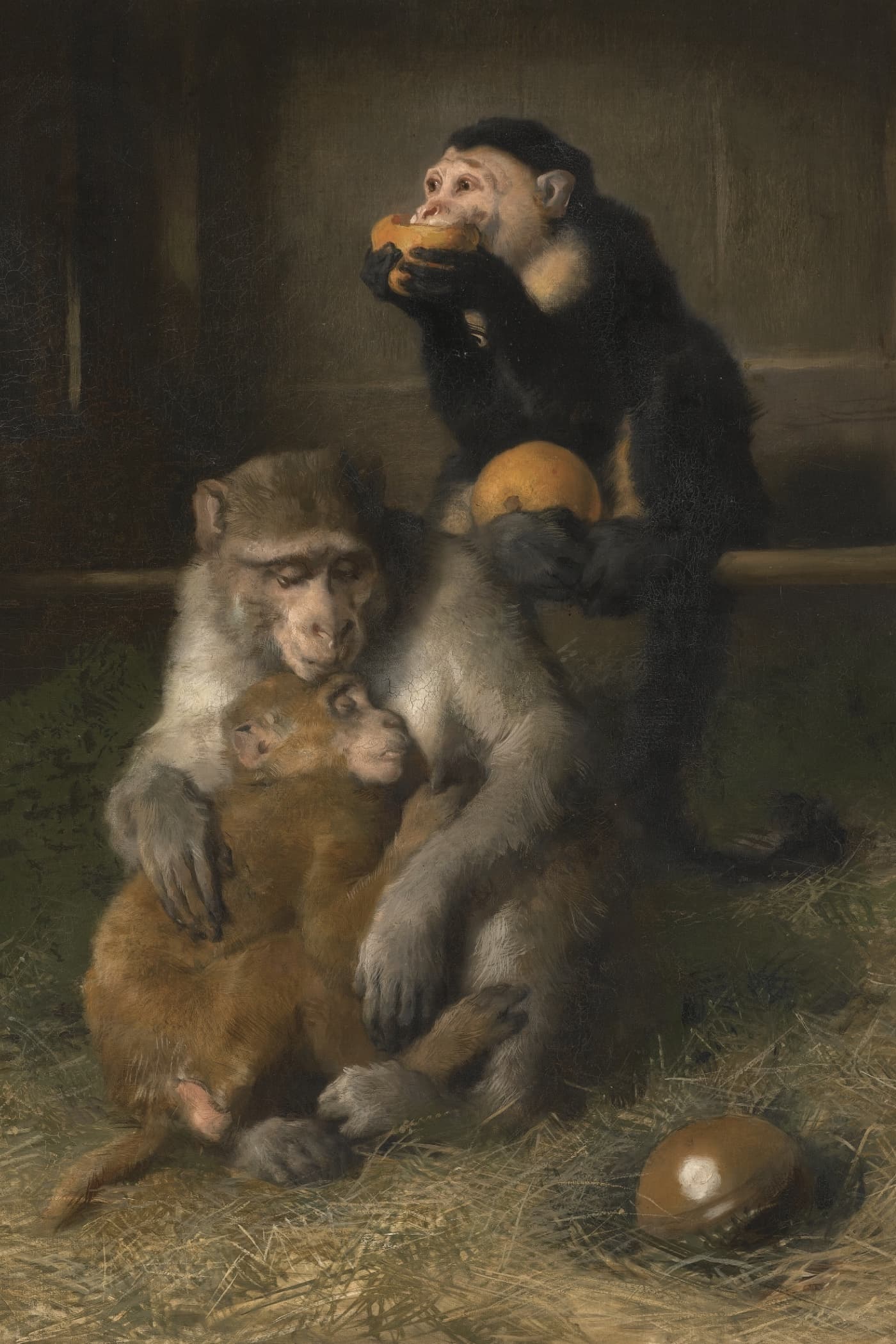 Cover for The Origin of Species