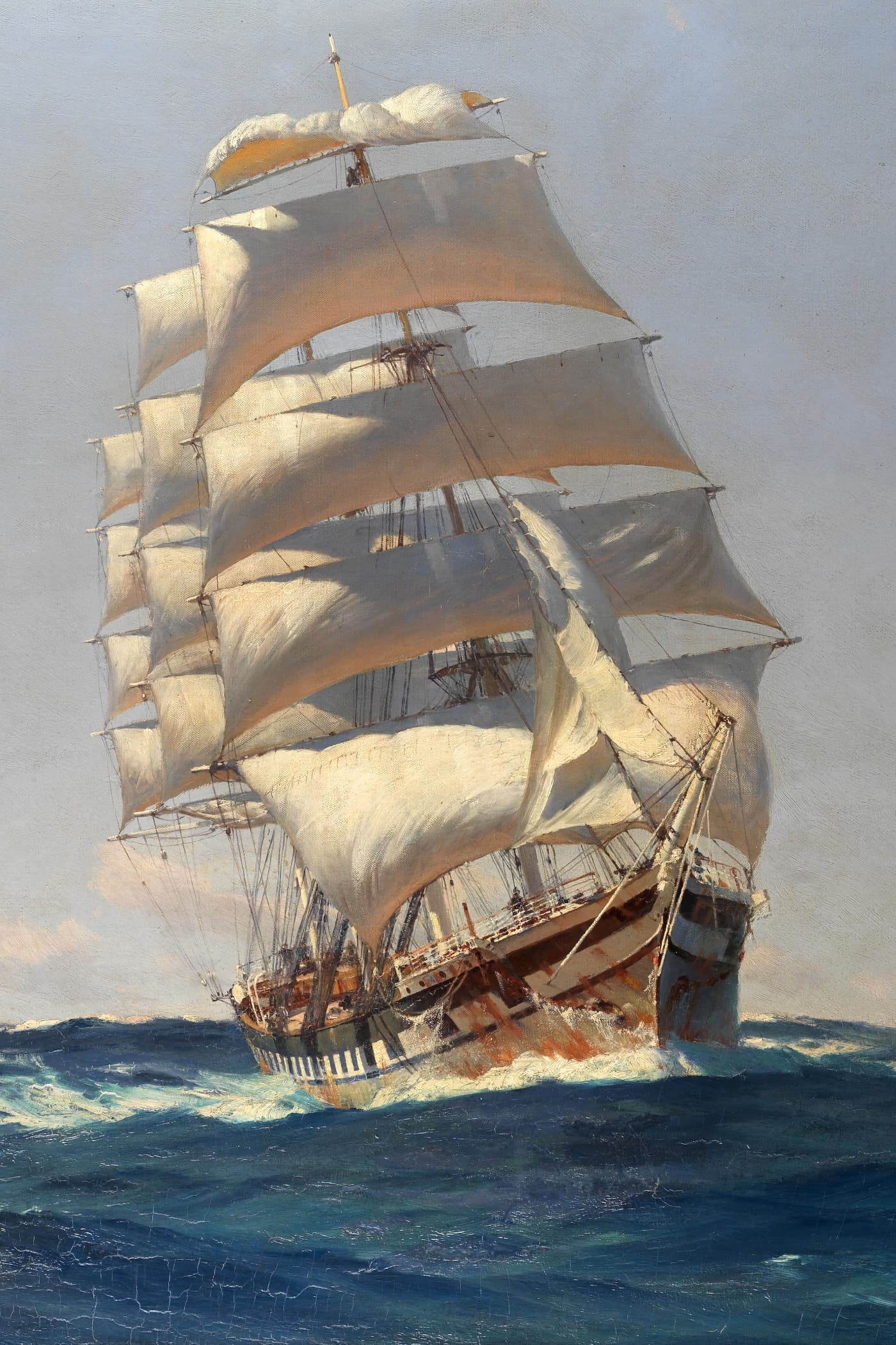 Cover for The Voyage of the Beagle