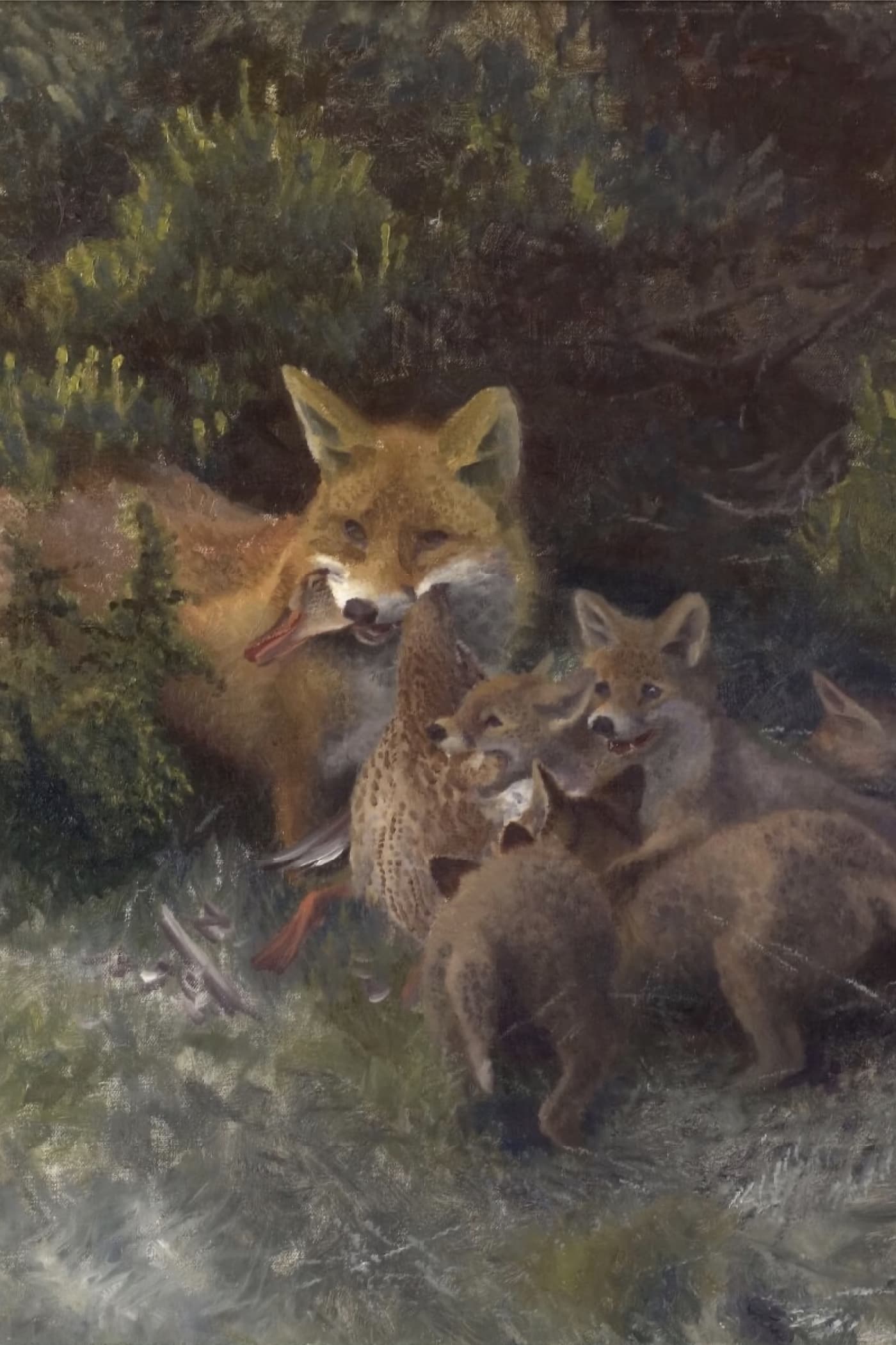 Cover for Lady Into Fox
