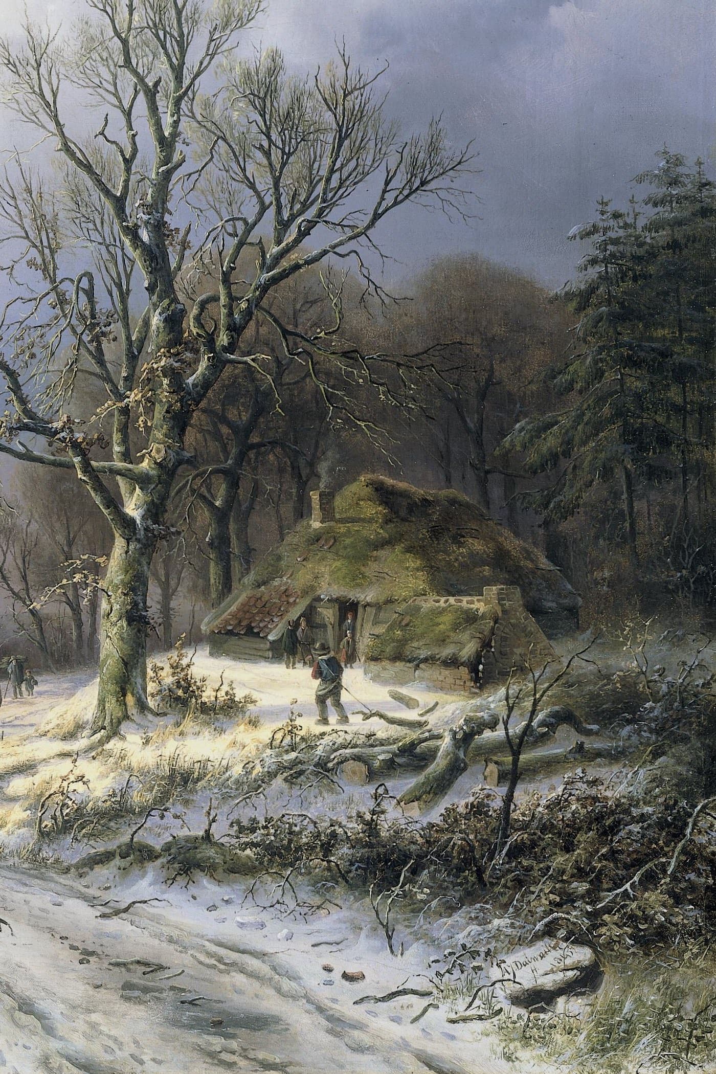 Cover for The Son of the Wolf