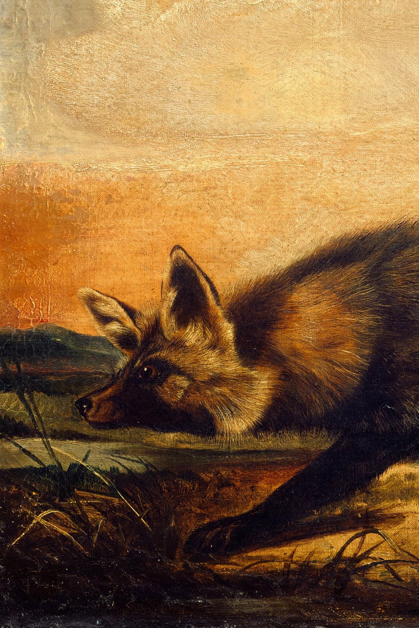Cover for The Mark of Zorro