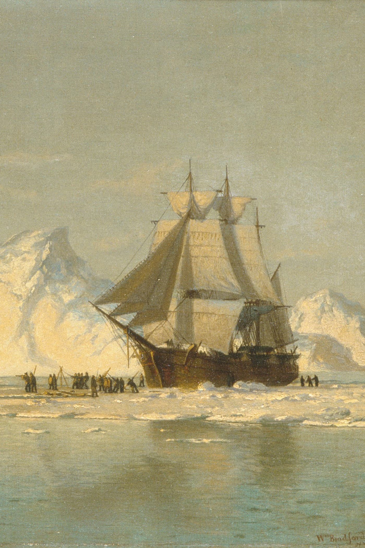 Cover for An Antarctic Mystery
