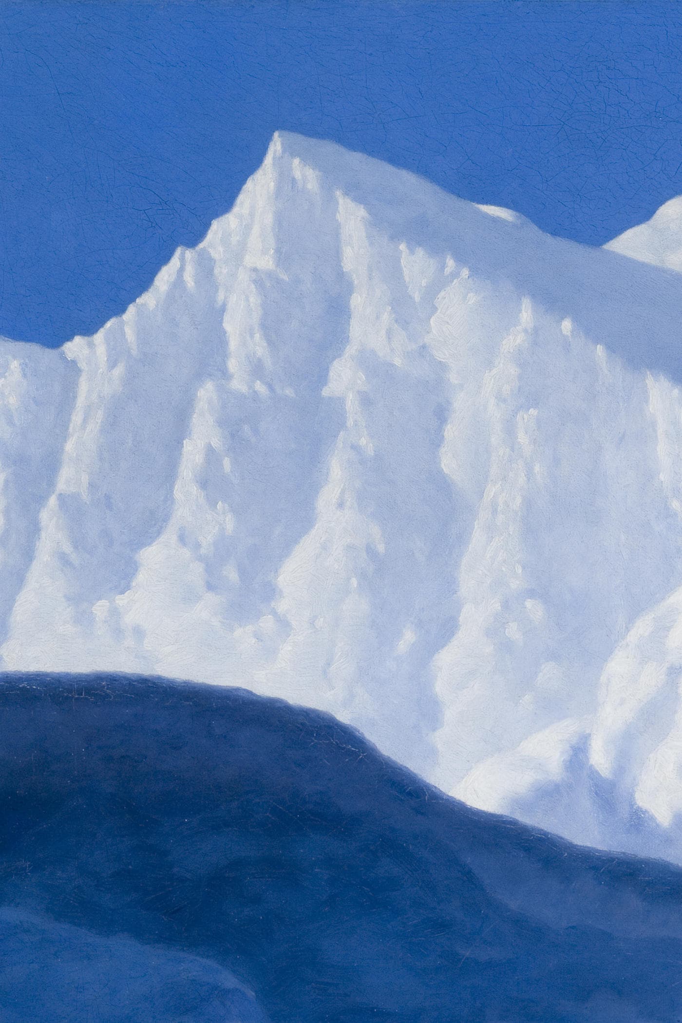Cover for The Fur Country