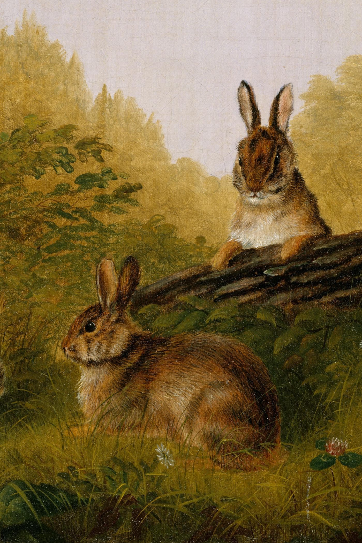 Cover for Green Meadow Stories